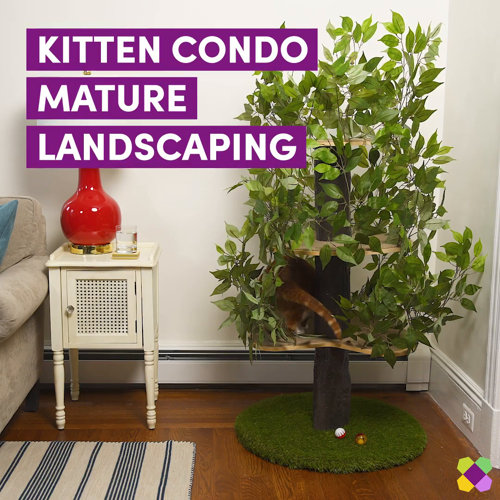 Archie & Oscar™ 60" Henrietta Cat Tree & Reviews Wayfair